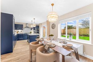 Photo 11- click for photo gallery